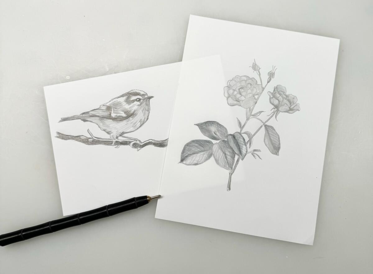 Premium Silverpoint Drawing Tool - 2mm Fine Point for Artists & Sketching (MPC SP2) | Perfect for Renaissance Style Drawings, Detailed Illustrations & Fine Art Techniques