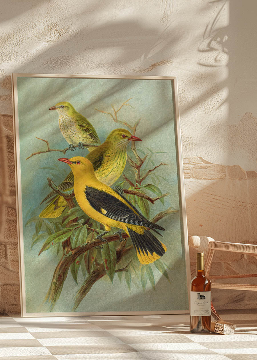 Vintage Golden Oriole Bird Art Print by Johann Friedrich Naumann - Nature Wall Decor for Home, Office & Gift