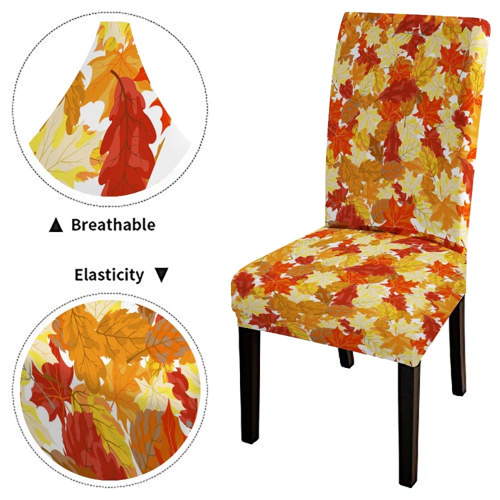 EMMTEEY Autumn Maple Leaves Chair Covers Set of 2 - Stretch Spandex for Dining & Living Rooms