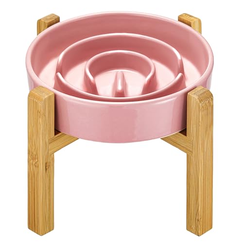 Pink + Stand