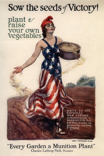 Vintage Patriotic American War Poster Reproduction - 'Sow the Seeds of Victory' Vegetable Garden Munition Canvas Print 20x30 Inches - Rolled Shipping - Perfect for Home Decor, Office Wall Art & Historical Memorabilia