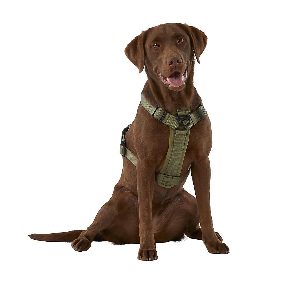 KONG Ultra Durable Dog Waste Bag Holder - Medium Size, Green - Perfect for Walking, Hiking & Outdoor Adventures with Your Pet