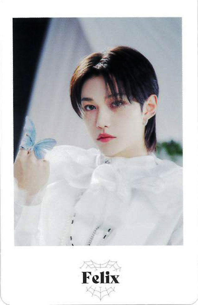 STRAY KIDS 2ND WORLD TOUR MANIAC ENCORE in JAPAN Official Photocard Set - K-Pop Merchandise for Collectors & Fans - Perfect for Display, Albums, and Fan Meetings