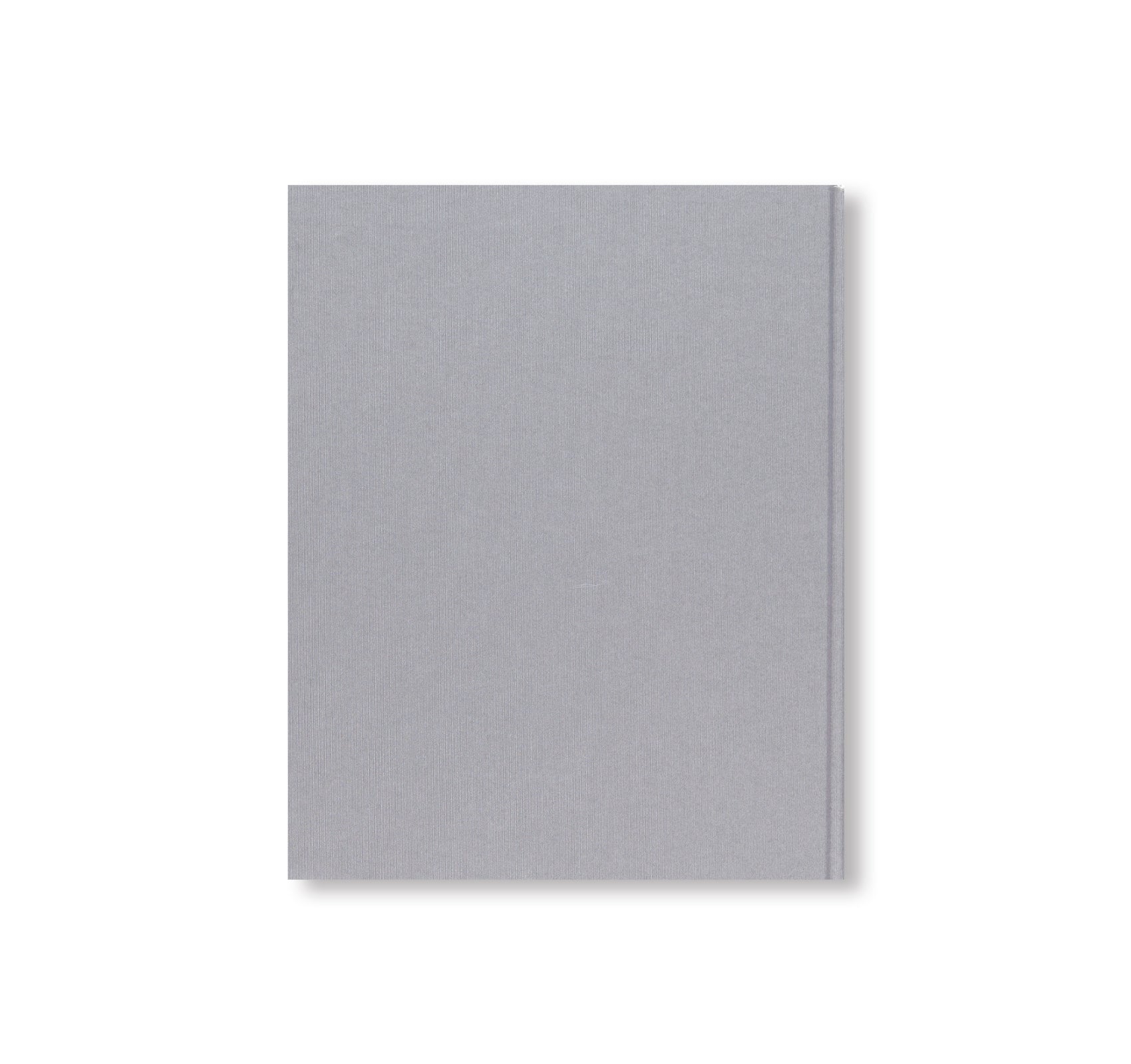 MONUMENTAL MINIMAL Art Book: Works by Carl Andre, Dan Flavin, Donald Judd, Sol Lewitt, Robert Mangold & Robert Morris | Modern Art Collection for Home Decor & Office Display