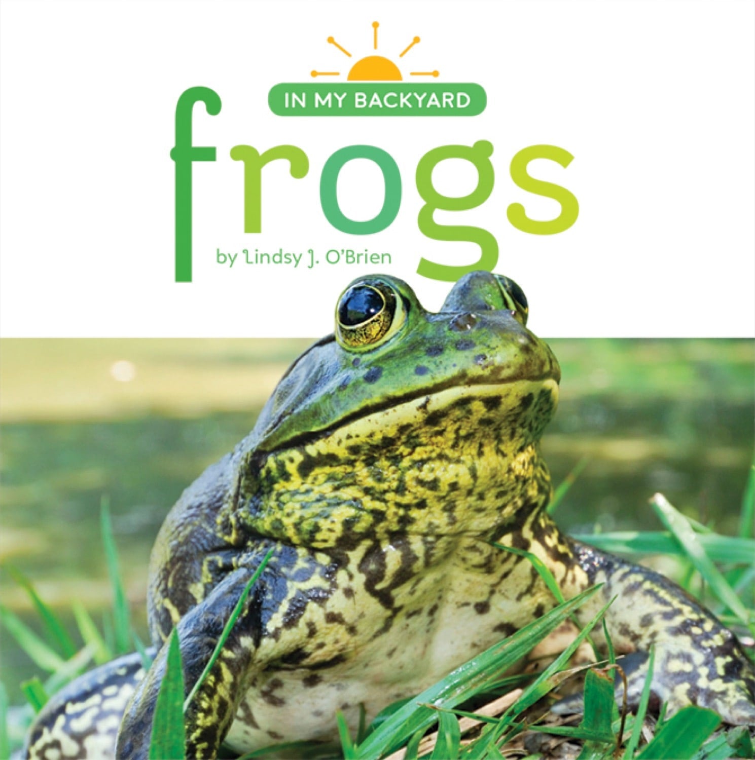 Frogs Book - ISBN 9781608186983 - Educational Wildlife Guide for Kids & Nature Enthusiasts - Perfect for Classroom Learning & Home Schooling