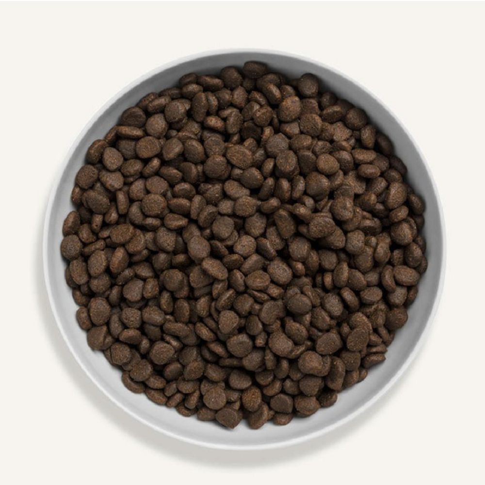 Grain-Free Scottish Salmon Dry Cat Food - High Protein, Natural Ingredients for Adult & Senior Cats - Perfect for Indoor Cats with Sensitive Stomachs