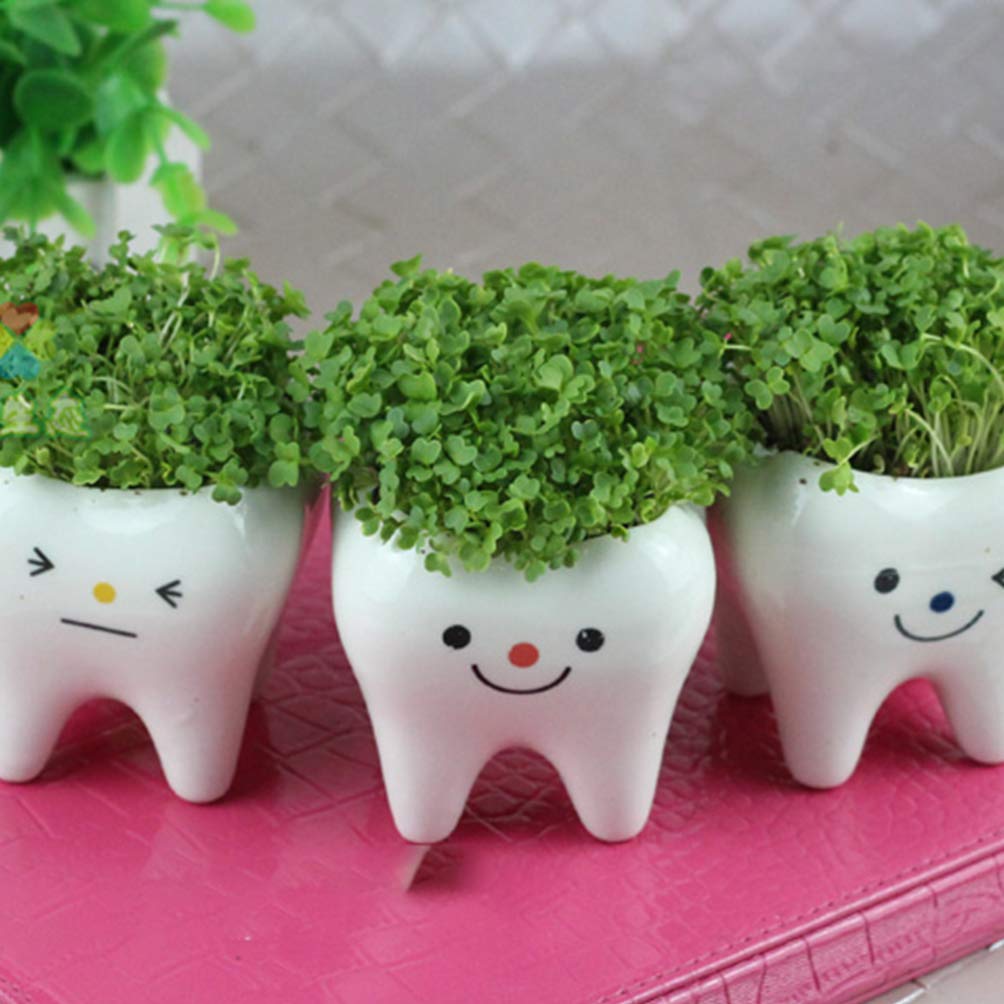 LIOOBO 2-Pack Creative Ceramic Plant Pots with Holder - Decorative Flower Pots for Succulents, Herbs, or Small Plants - Perfect for Home, Office, and Garden Decor