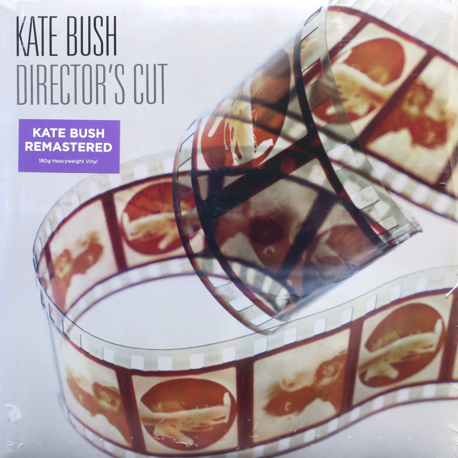 KATE BUSH 'Director's Cut' Remastered 180g Vinyl 2LP - Limited Edition Collector's Item for Audiophiles & Music Lovers - Perfect for Home Listening & Vinyl Collections