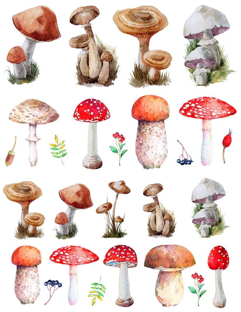 Ceramic Decals for Pottery - Overglaze Enamel Decals - Mushroom Design DIY Crafts - Perfect for Mugs, Plates & Home Decor
