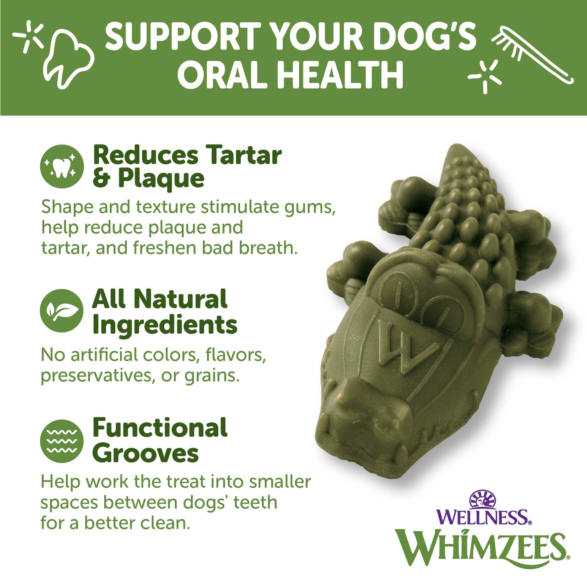Wellness WHIMZEES Alligator-Shaped Dental Chews for Small Dogs - 24 Count, Natural Grain-Free Dog Treats for Teeth Cleaning & Fresh Breath - Perfect for Daily Oral Care & Puppy Teething Relief