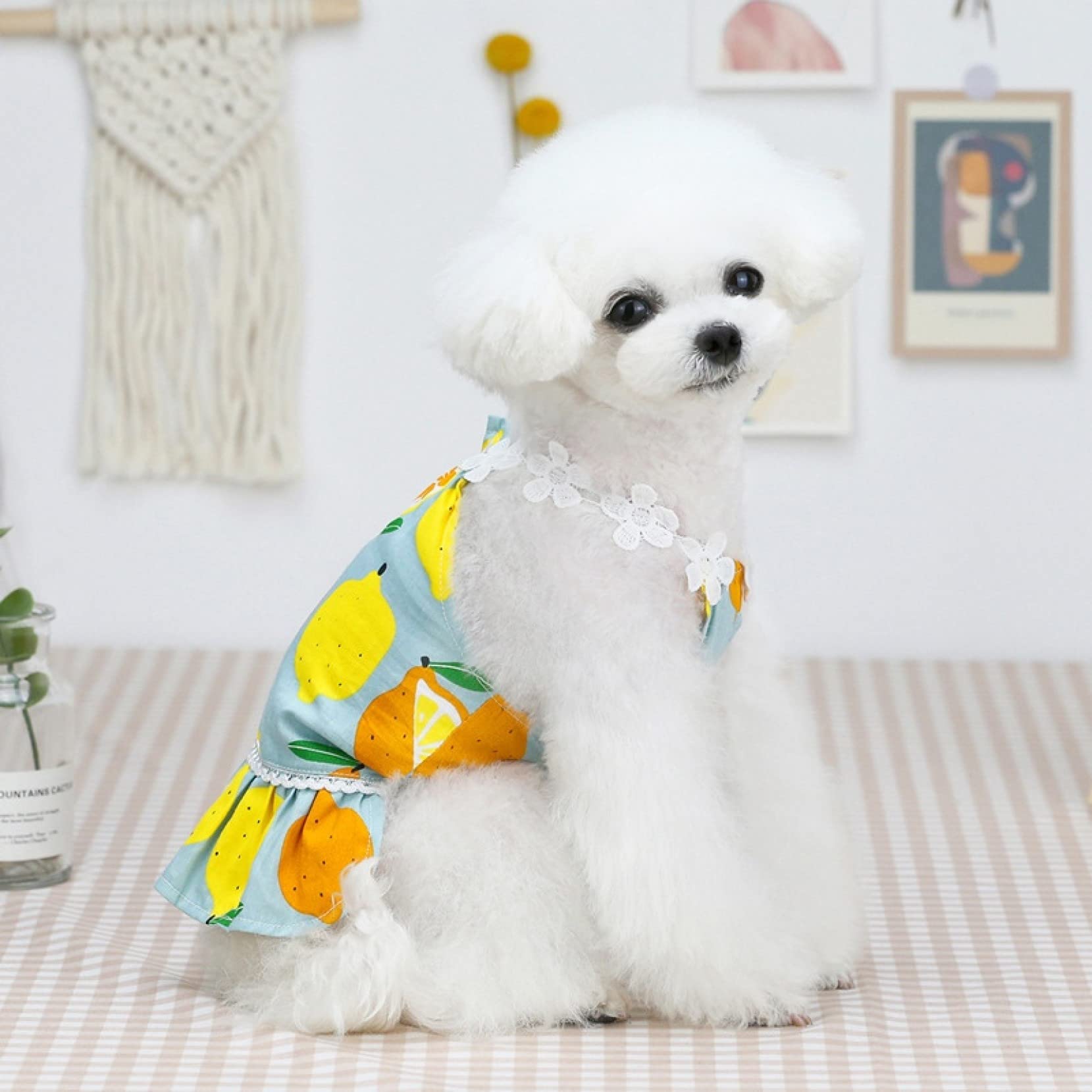 Breathable Sleeveless Lemon Print Dog Dress for Small Dogs - Summer Pet Clothes Puppy Costume for Outdoor Walks & Playtime