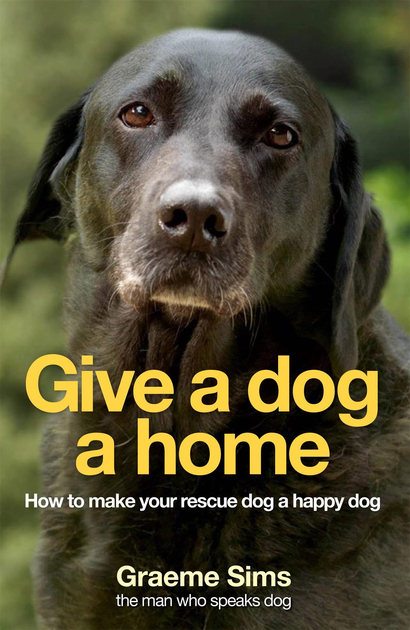 Adopt a Dog - Find Your Perfect Canine Companion for a Loving Home | Pet Adoption & Rescue