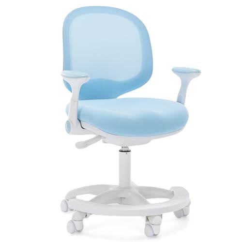 Sky Blue W/ Armrests and Footrest