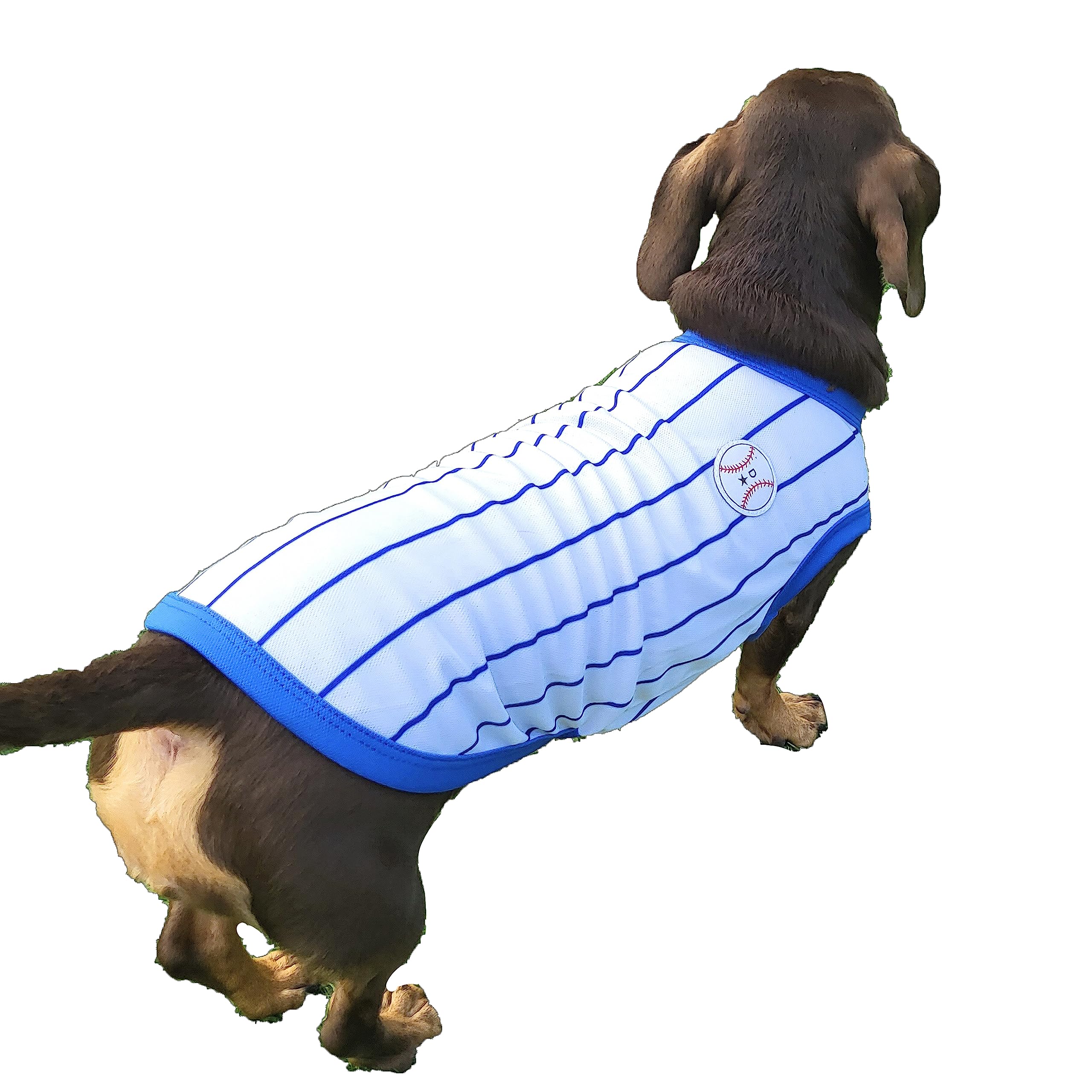 Dachshund Dog Clothes - Baseball T-Shirts for Mini & Adult Dogs (XL, Baseball Blue) - Perfect for Casual Wear & Pet Fashion