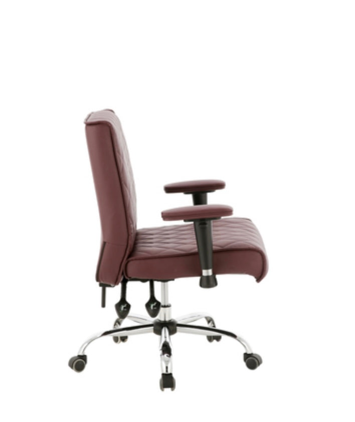 Delia Ergonomic Office Chair - Adjustable Height, Lumbar Support, Swivel & Rolling for Home & Office Workspace | Comfortable Seating for Long Hours of Work, Gaming, or Studying