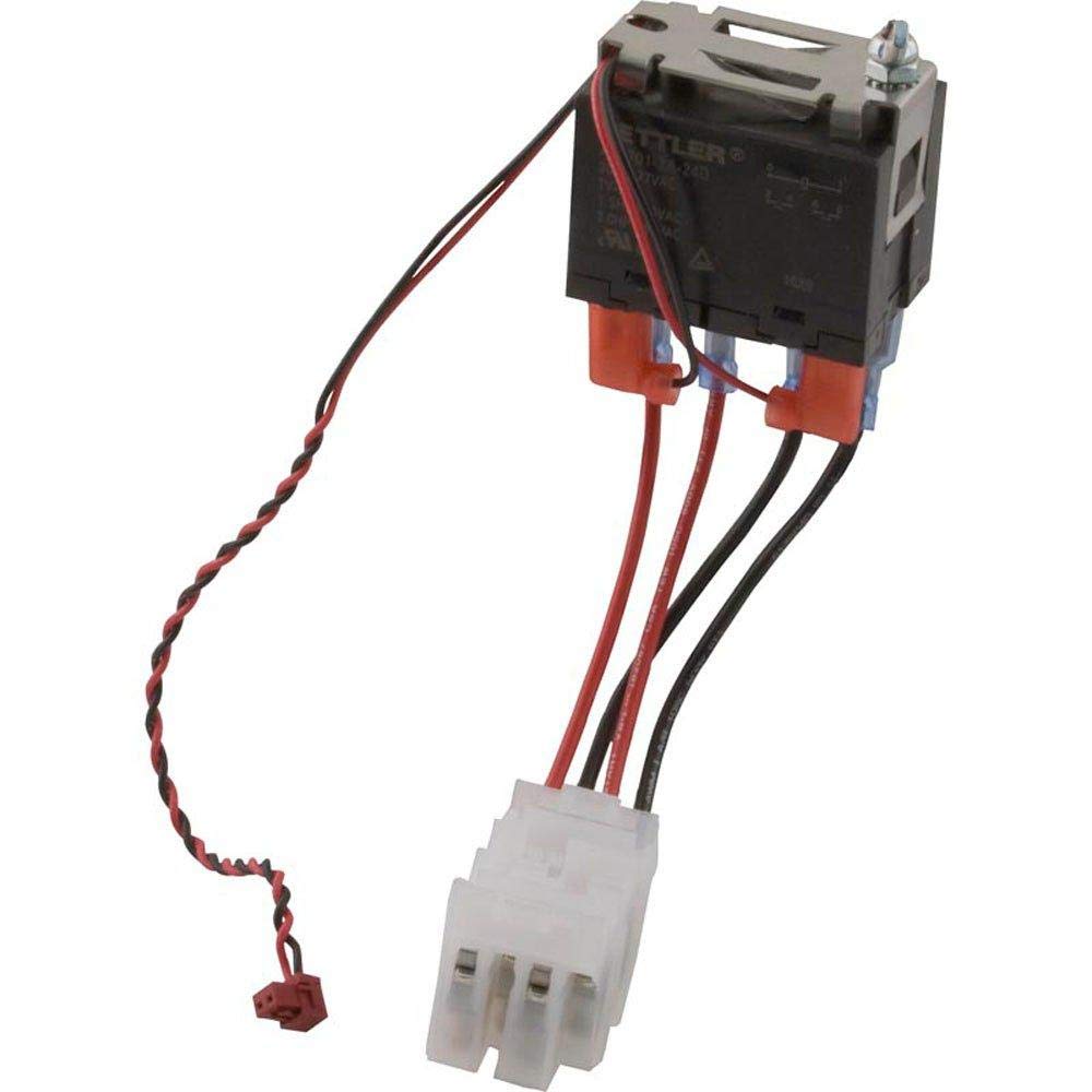 Pentair RLYLX3HP 25 Amp 3 HP Power Relay - Replacement for Pool Pumps, Spa Equipment & Water Features