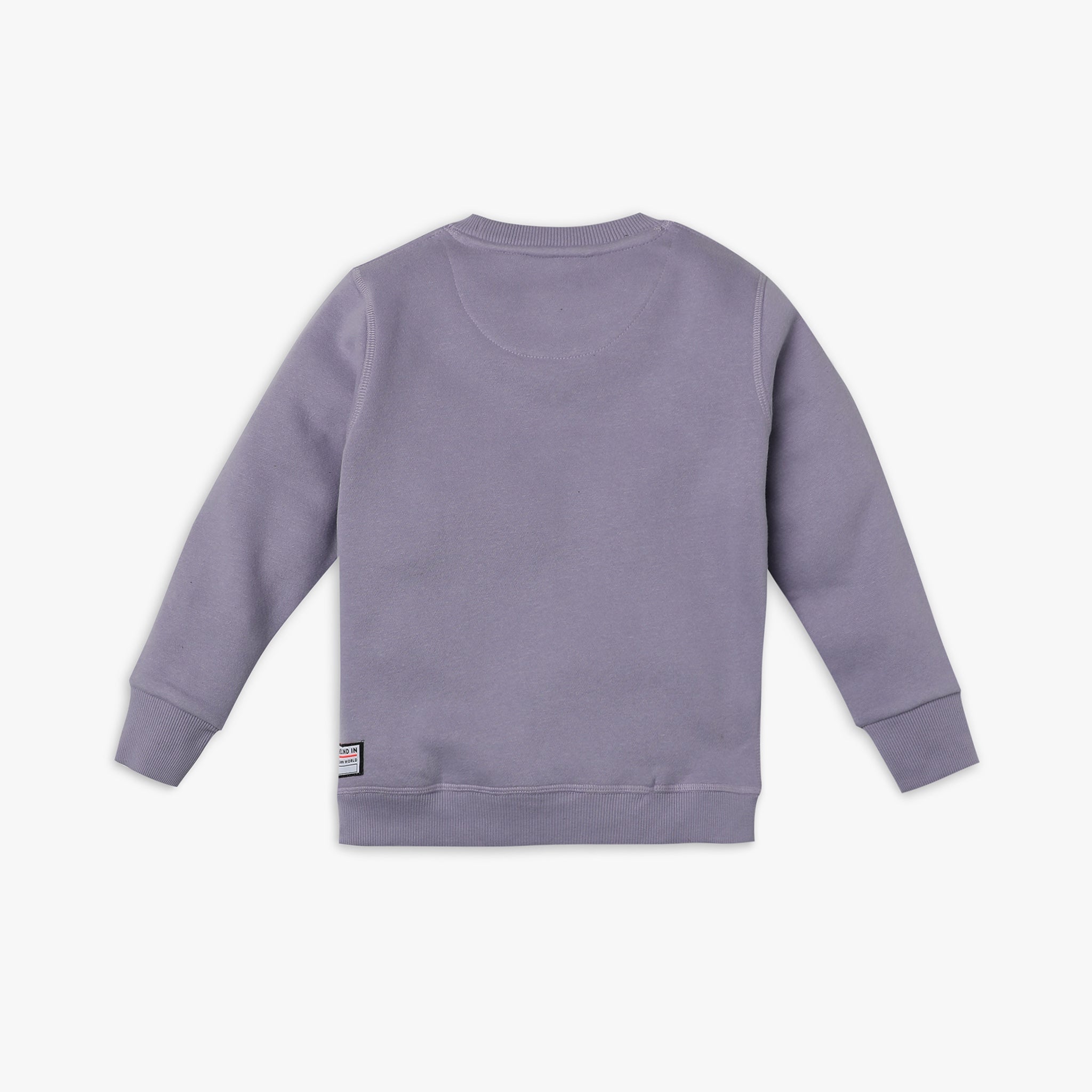 Boys' Regular Fit Solid Color Sweatshirt - Soft Cotton Pullover for School, Play & Everyday Comfort