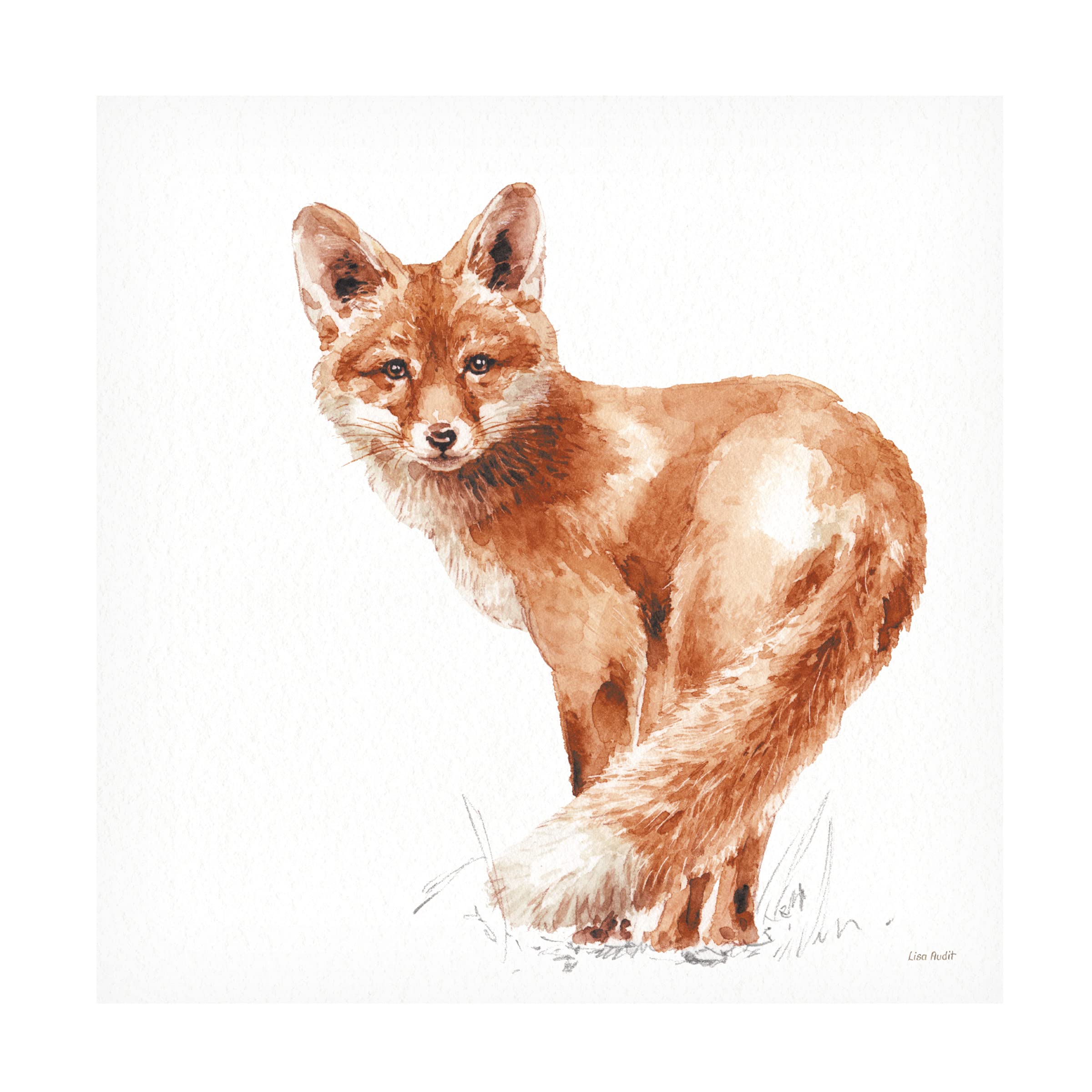 Lisa Audit 'Forest Friends XI Red' Canvas Wall Art - Modern Home Decor for Living Room, Bedroom & Office - High-Quality Framed Print