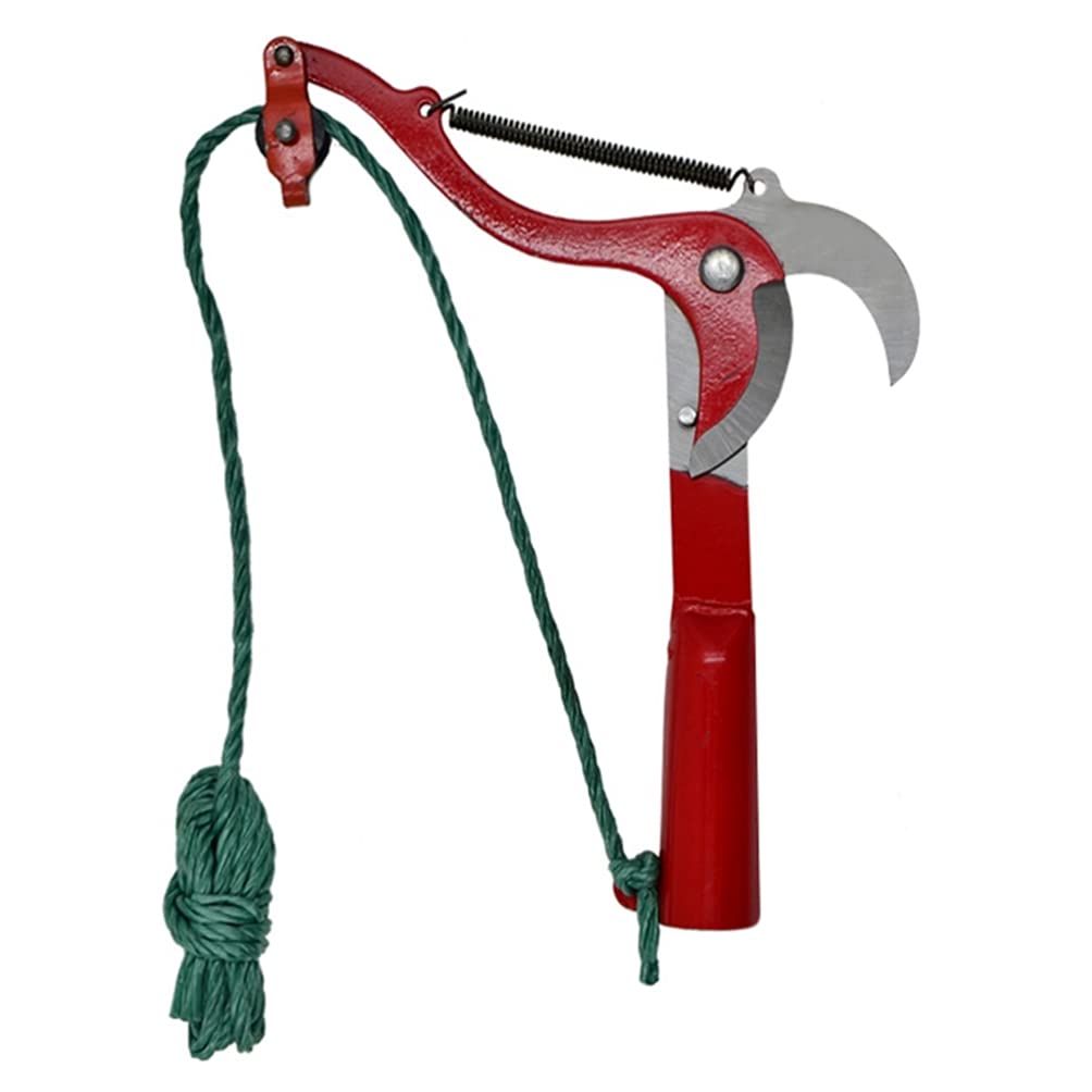 DOITOOL Professional Garden Pruning Shears - Fruit Picking Scissors for Harvesting Citrus, Pears, Peaches - Durable Garden Shears with Comfort Grip - Perfect for Orchard Harvesting, Home Gardening, and Farm Use