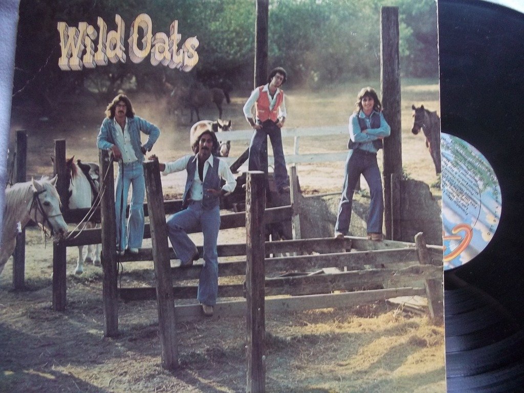 WILD OATS Self-Titled Vinyl LP Record - Classic Rock Music Album for Collectors & Audiophiles | Perfect for Home Listening, Gifts & Vinyl Collections
