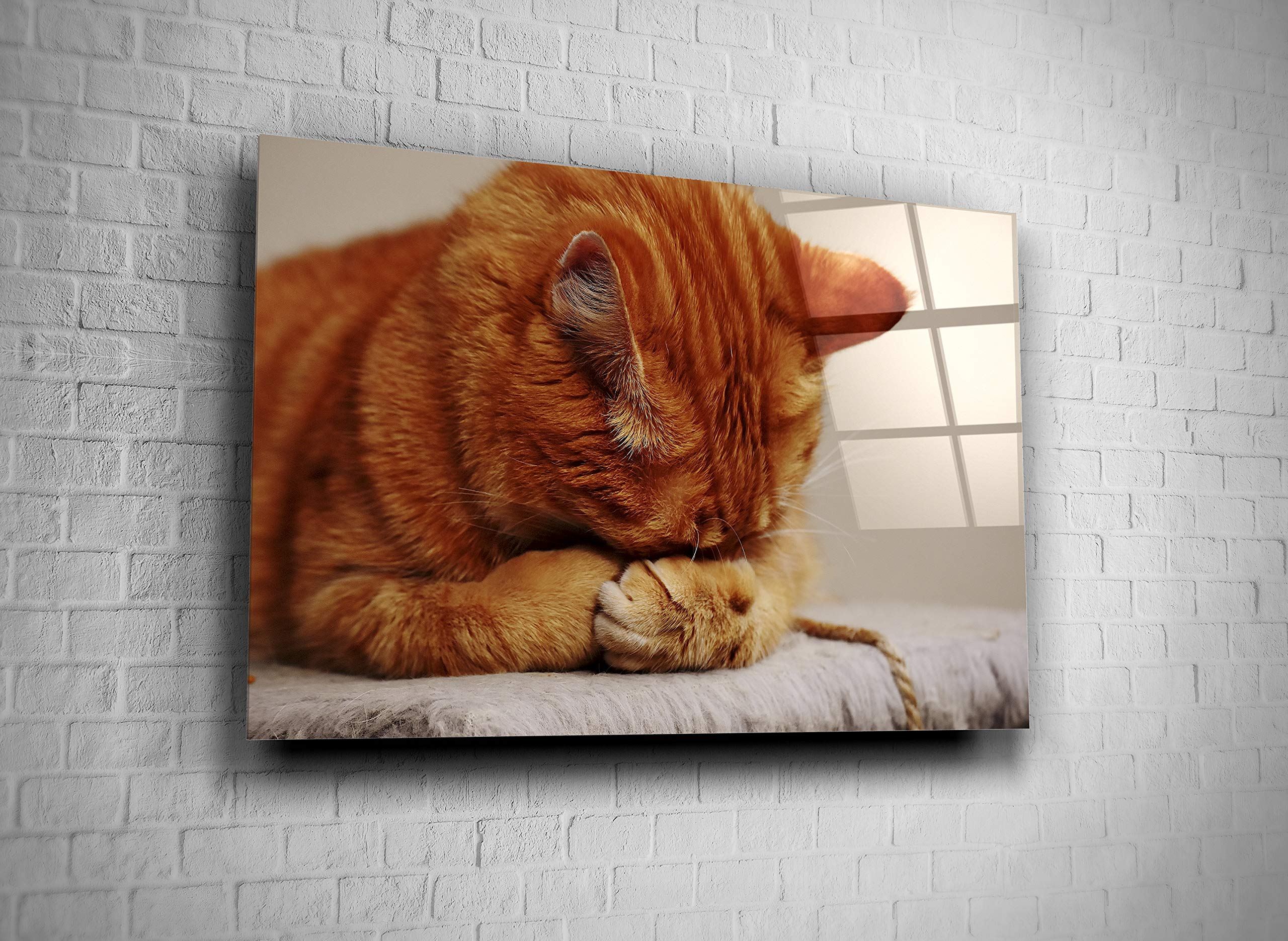 Ginger Cat Tempered Glass Wall Art - Modern Animal Wall Decor for Home, Office & Hotel - Unique Gift Idea (24x36) - Perfect for Living Room, Bedroom & Workspace Decor