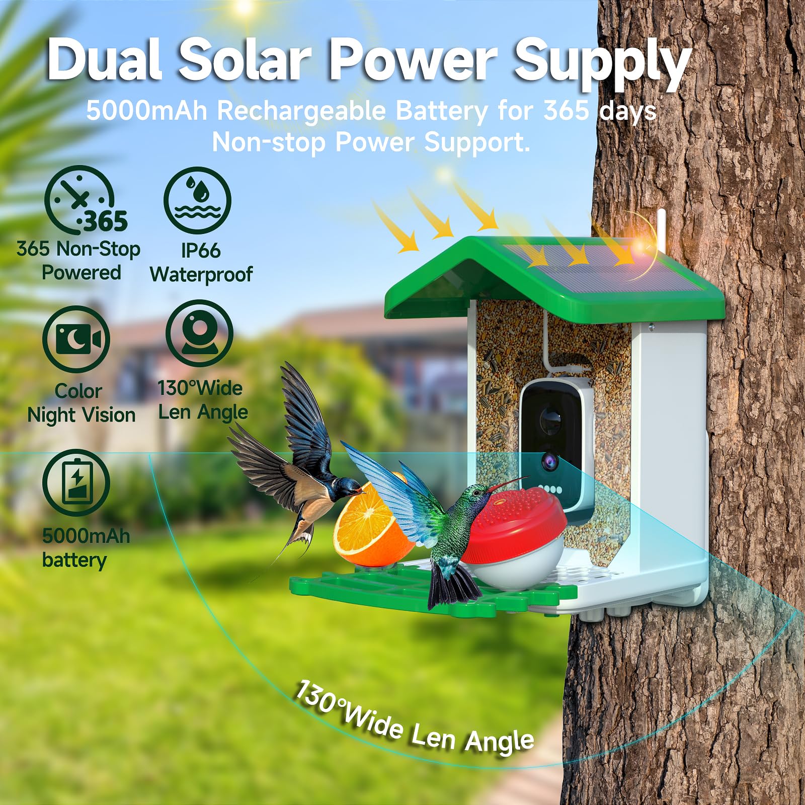 Smart AI Bird Feeder with Camera - Solar Powered Wireless 1080P HD Bird Watching Camera with Auto Recording & Instant Notifications - Perfect for Backyard Bird Watching, Wildlife Monitoring & Nature Enthusiasts