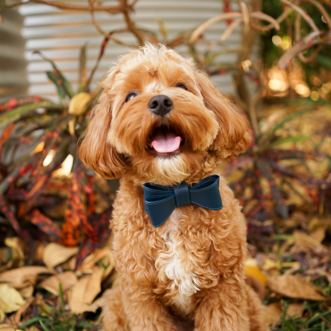Premium Navy Blue Leather Dog Bow Tie - Adjustable & Stylish Pet Accessory for Weddings, Parties & Photo Shoots
