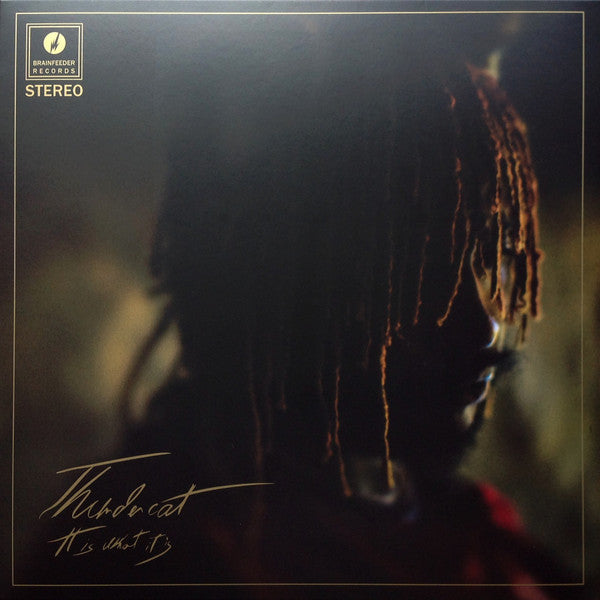 Thundercat 