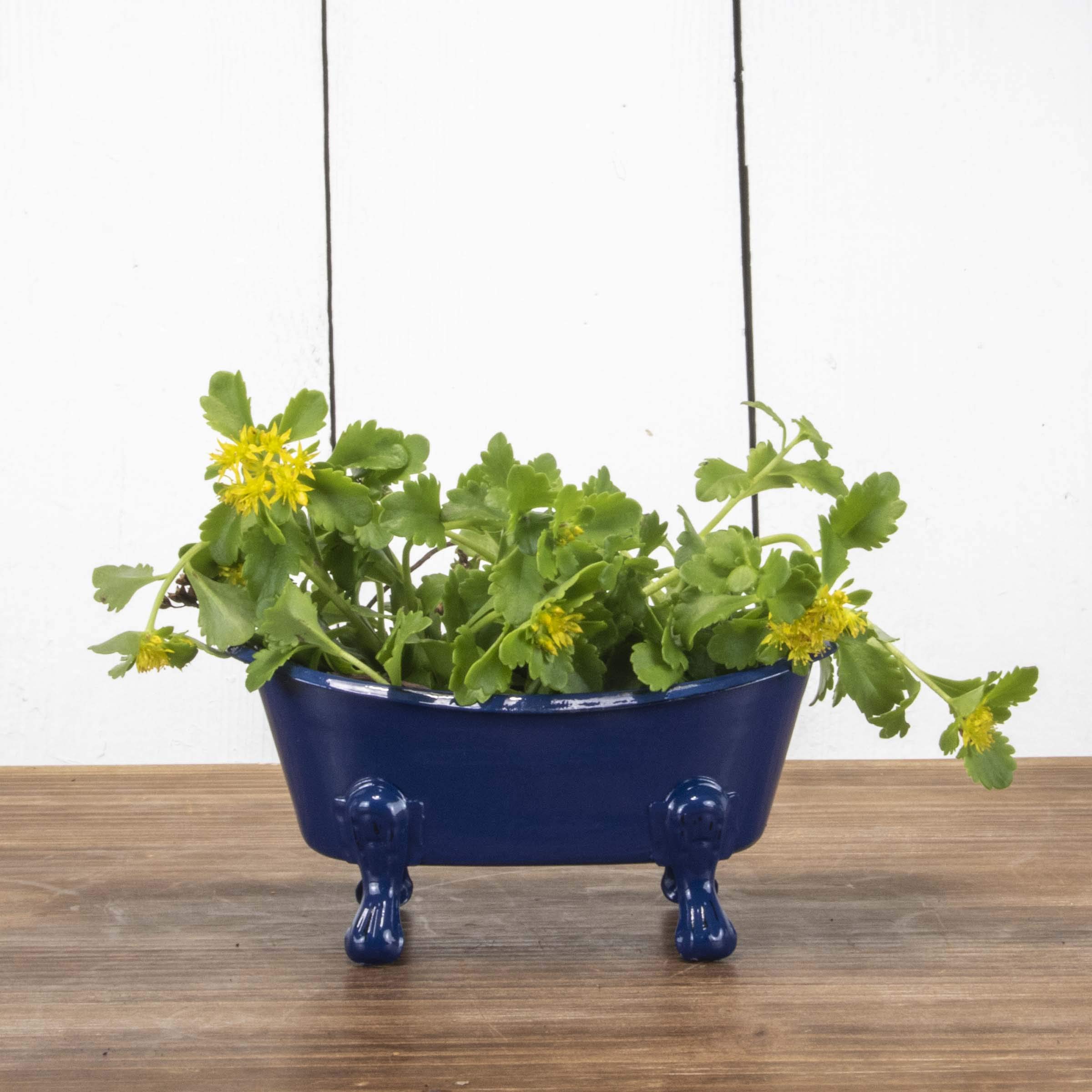 Mini Blue Bathtub Soap Dish - Bathroom Organizer for Showers