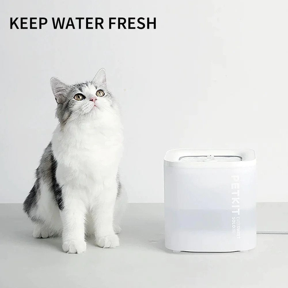 Eversweet Solo SE Smart Pet Drinking Fountain with Wireless Pump - Automatic Cat & Dog Water Dispenser for Fresh Hydration at Home or Office