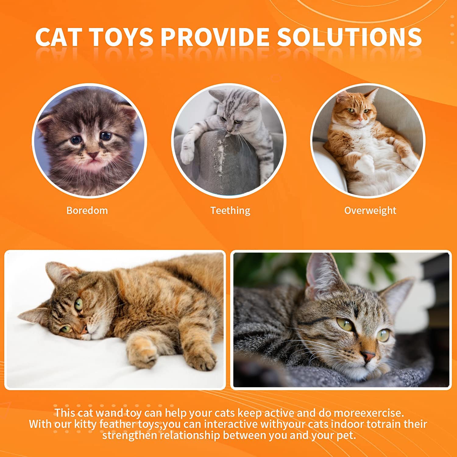 Interactive Cat Feather Toys with Super Suction Cup - 3 Pcs Detachable Replacement Set with Bells - Fun Indoor Play for Active Cats - Perfect for Exercise, Bonding & Mental Stimulation