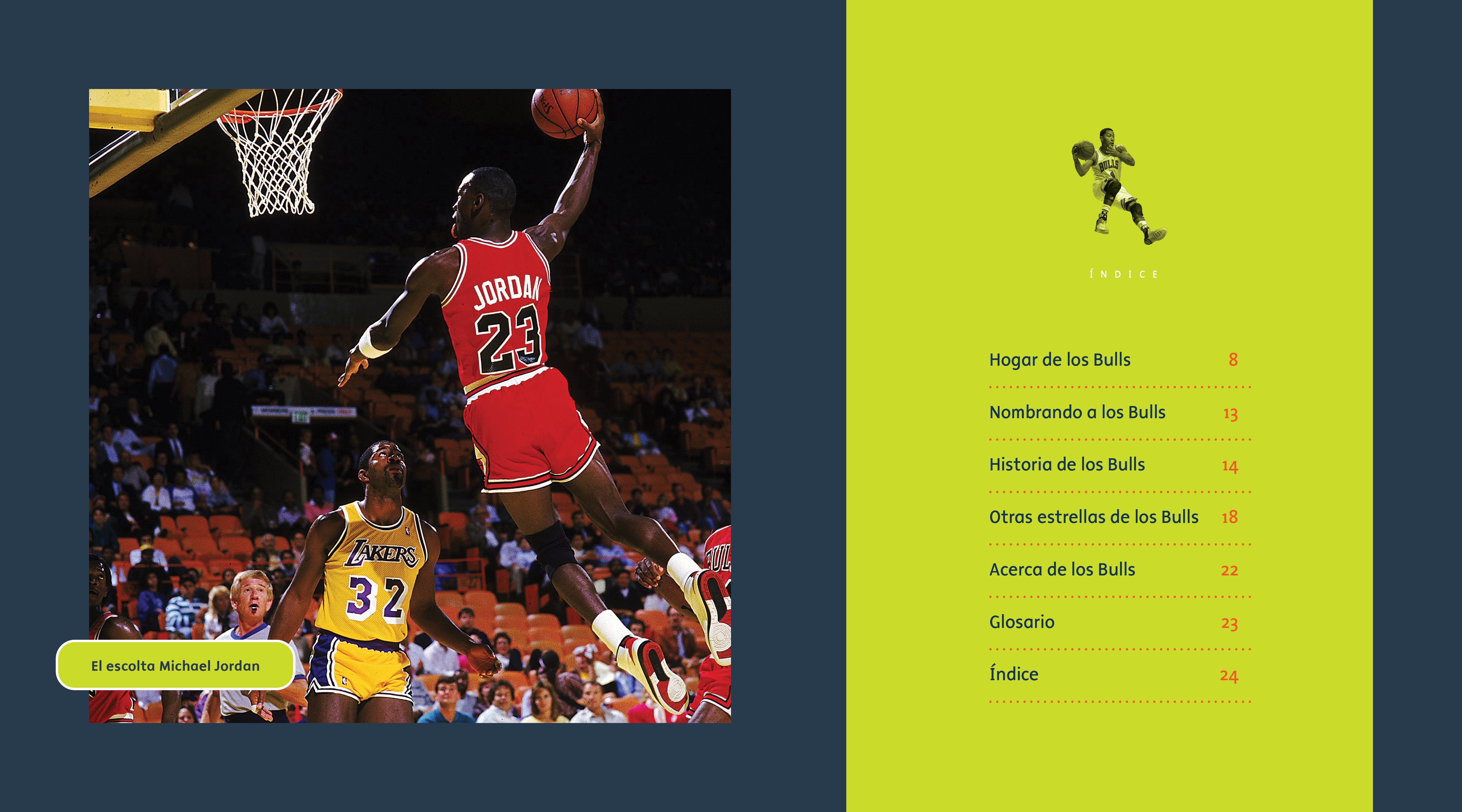 Chicago Bulls NBA Basketball Jersey - Official Licensed Apparel for Men & Women - Perfect for Games, Fan Events & Sports Enthusiasts