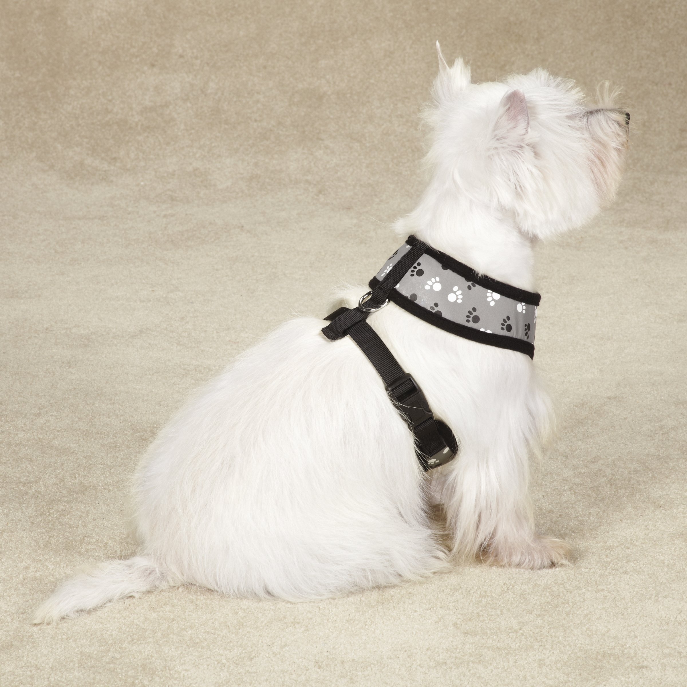 Reflective Paw Print Dog Harness for Small Dogs - Adjustable & Breathable Black Pet Safety Vest for Night Walks, Jogging & Outdoor Adventures