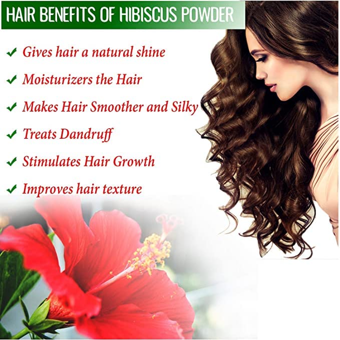 Natural Amla Reetha Shikakai Bhringraj Hibiscus Hair Powder Combo Pack - 5 Herbal Hair Care Powders (100g Each, Total 500g) for Hair Growth, Dandruff & Scalp Care | DIY Hair Masks & Ayurvedic Treatments