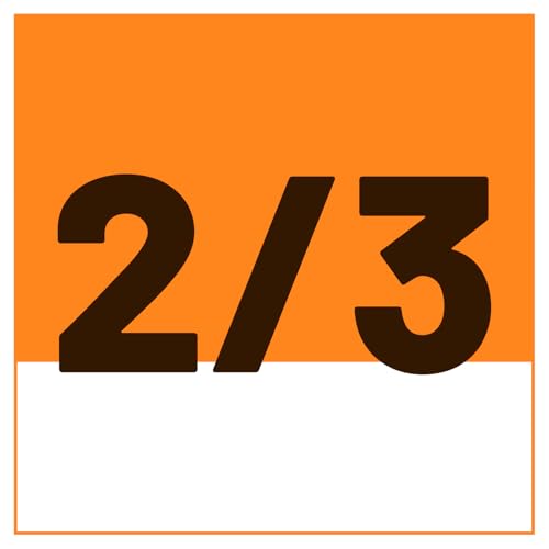 2/3 Size
