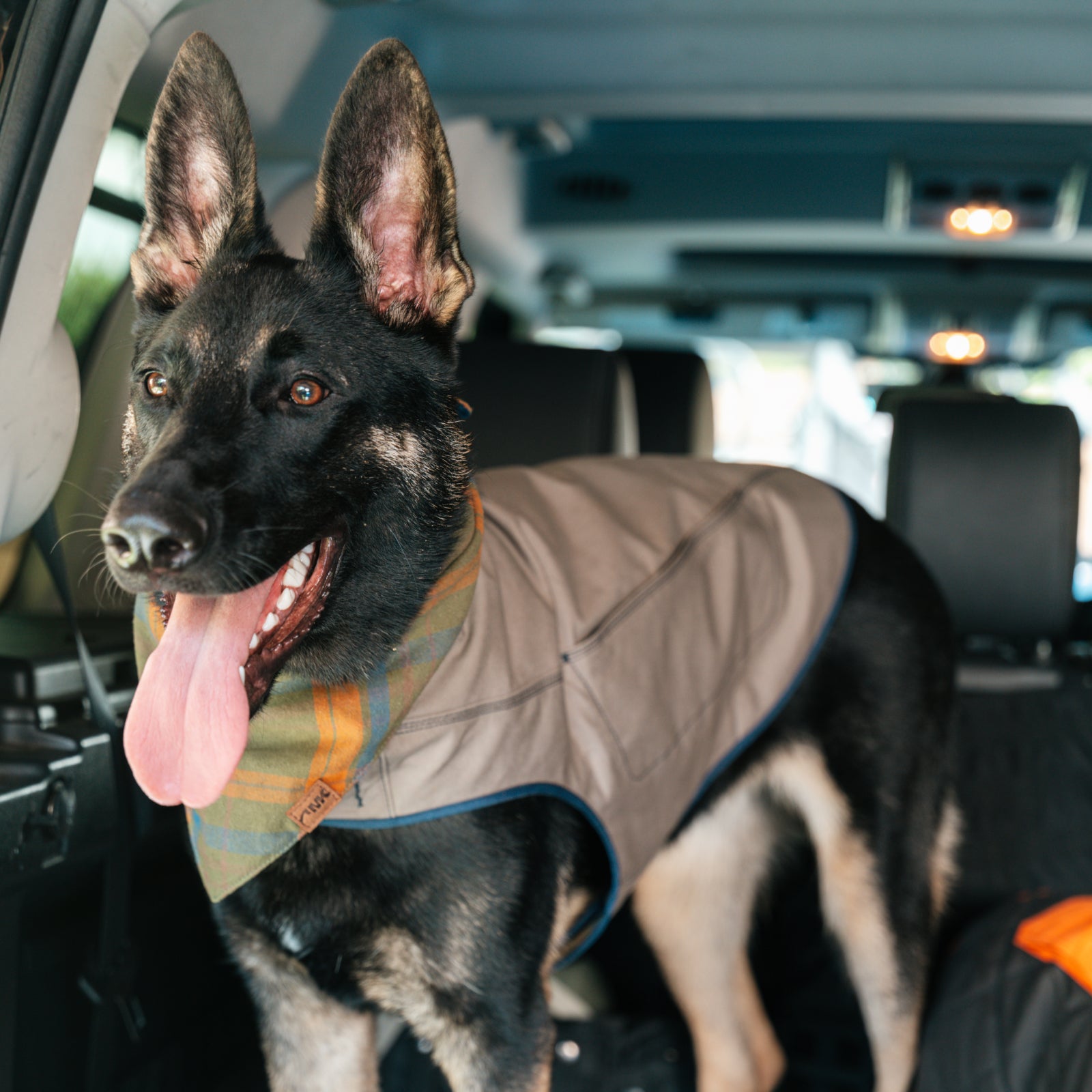 Original Dog Vest with Adjustable Straps - Comfortable & Durable Pet Harness for Small, Medium & Large Dogs - Perfect for Walking, Hiking & Outdoor Adventures