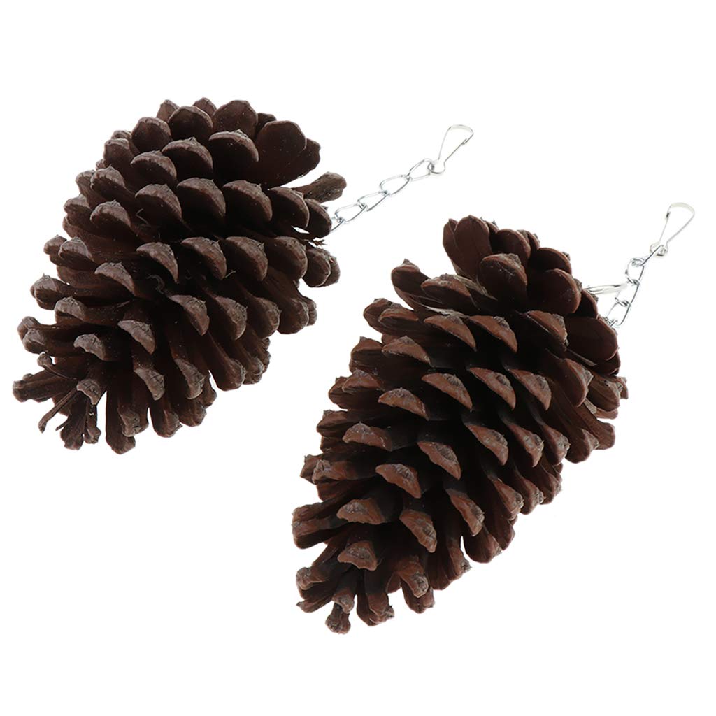 2Pcs Natural Wooden Chewing Bird Toys & Perches for Parrots - Safe & Durable for Cage Play, Training & Beak Trimming