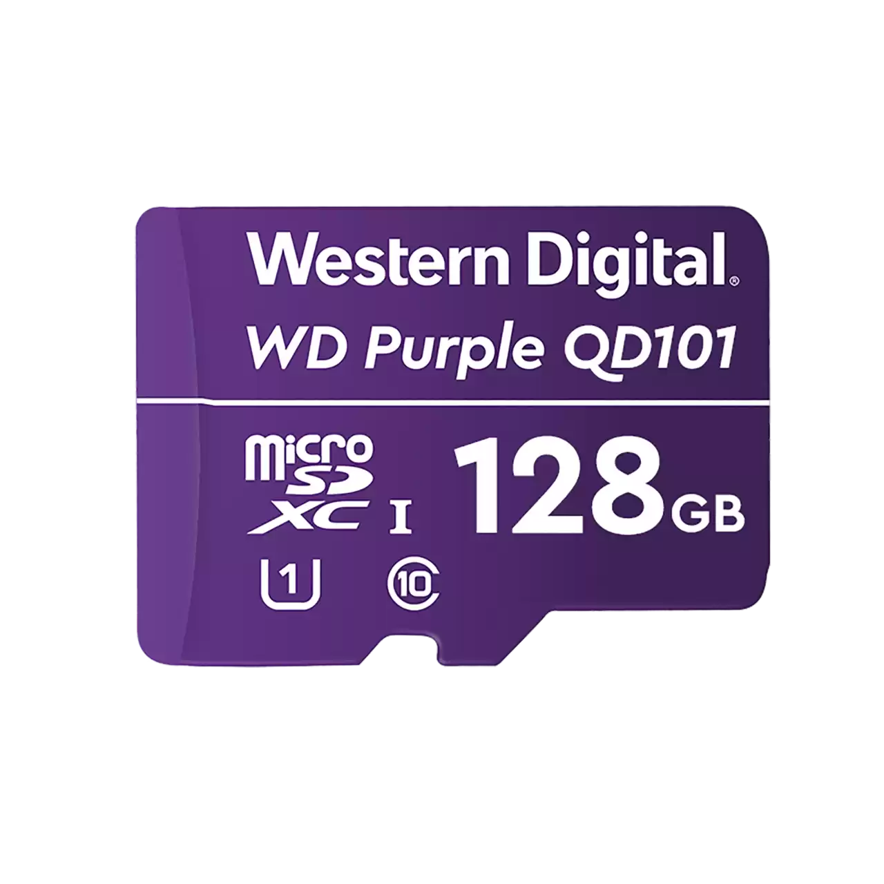 High-Capacity 64GB & 256GB MicroSD Cards for Security Cameras - Extreme Endurance, 24/7 Surveillance, Weatherproof - Perfect for Home Security Systems, Dash Cams, and Outdoor Monitoring