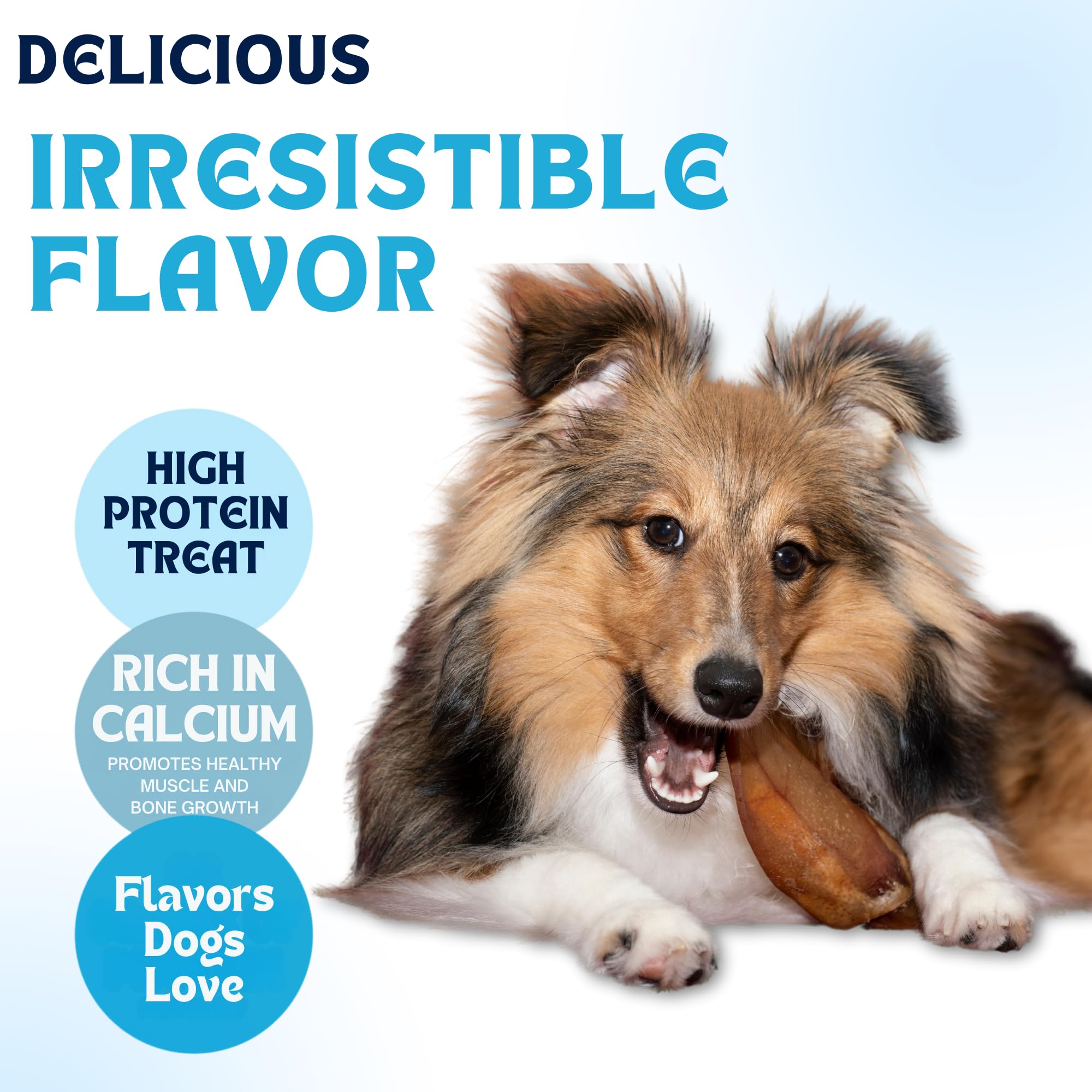 Premium Dog Treat Variety Box - 5 Pig Ears, 3 Yak Cheese Chews, 3 Bully Sticks, 2 Cow Ears & 1 Dog Bone - 100% Natural Long-Lasting Chews for Dogs - Perfect for Training, Teething & Dental Health
