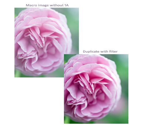Canon EOS 7D 86mm UV Haze 1A Multi-Coated Glass Filter - Reduces Glare & Enhances Clarity for Landscape & Outdoor Photography