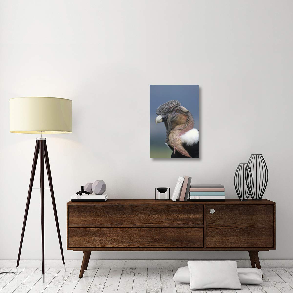 Andean Condor Male Canvas Art Print - 20x30 Inches - Cayambe Ecuador Wildlife Wall Decor - Perfect for Living Room, Office & Nature Lovers Gift