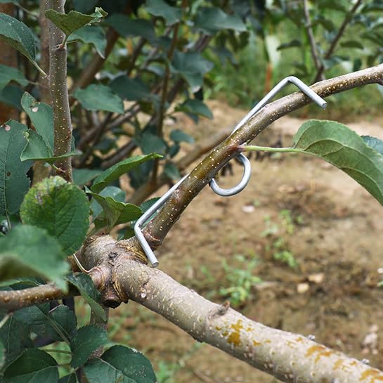 24pcs 5.1 Inch Fruit Tree Branch Puller - Garden Bonsai Limb Spreader & Bending Tool for Plants, Trees, and Shrubs - Perfect for Gardening, Landscaping, and Bonsai Training (M-5.1IN)