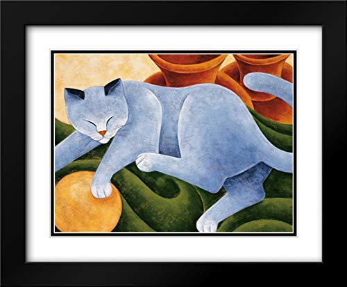 Black Modern Wood Frame with Double Matting