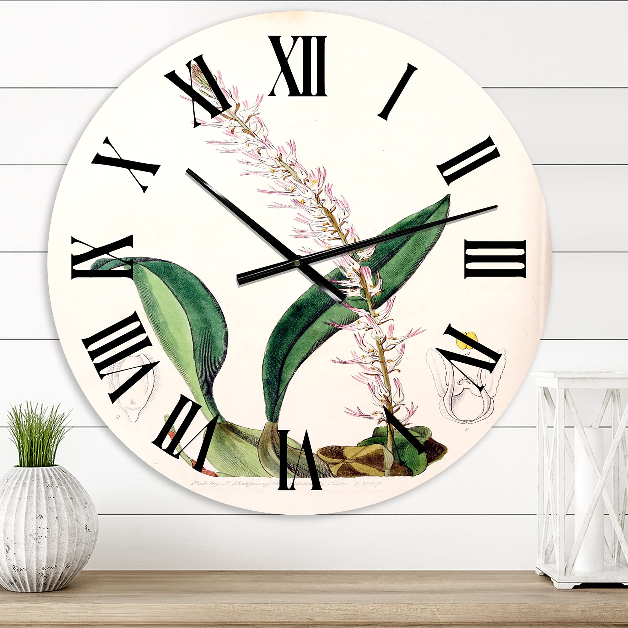 Vintage London Plants Floral & Botanical Large Wall Clock - Traditional Home Decor for Bedroom, Living Room & Office | Silent Non-Ticking Clock with Roman Numerals
