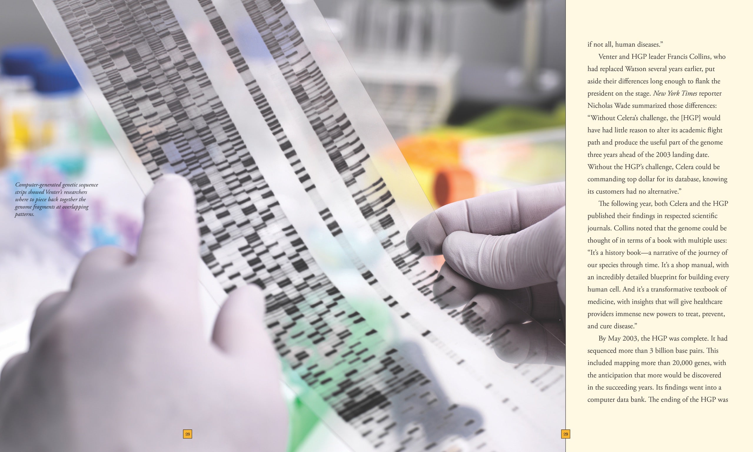 The Human Genome: A Comprehensive Guide to Genetics and DNA - Perfect for Students, Researchers, and Science Enthusiasts