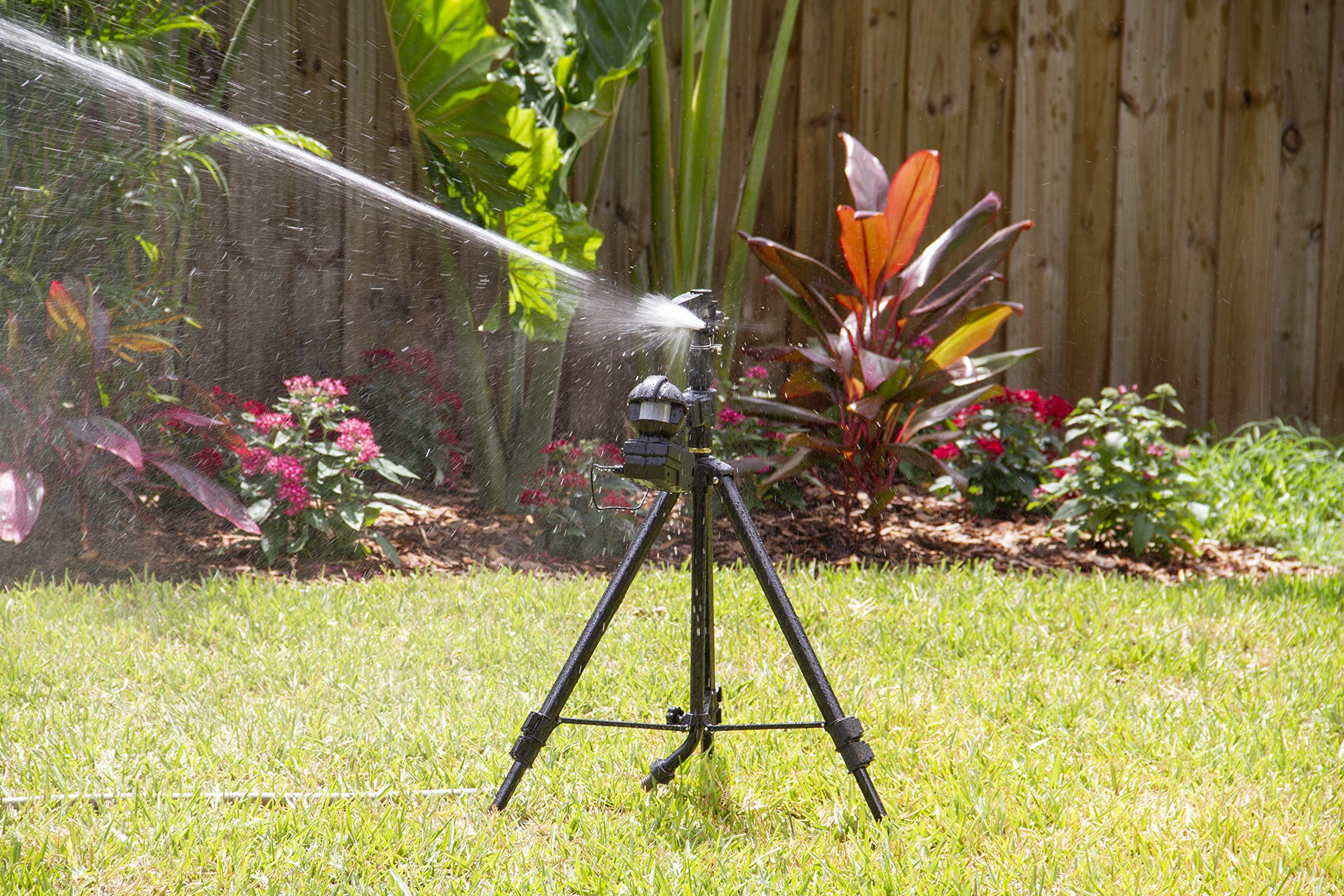 Orbit 62120 Garden Enforcer Motion Activated Sprinkler - Animal Repellent & Pest Control for Deer, Cats, Dogs - Outdoor Water Sprinkler for Yard, Lawn Protection (Great for Gardens, Farms, Backyards)