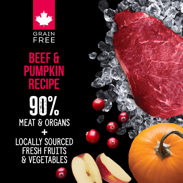 Nutrience SubZero Freeze-Dried Raw Beef & Pumpkin Dog Food - High Protein Grain-Free Recipe for Small & Large Dogs - Perfect for Training Treats, Meal Toppers & Outdoor Adventures
