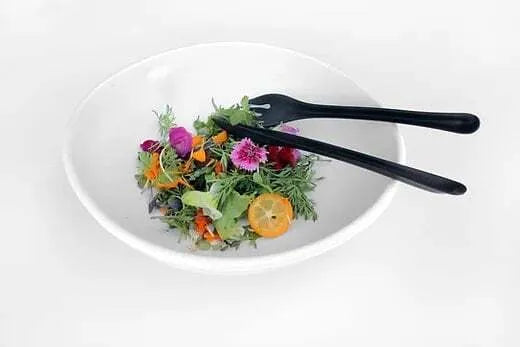 Eco-Friendly Black Knife - High-Quality Stainless Steel Kitchen Knife for Cooking, Slicing & Dicing | Perfect for Home Chefs & Outdoor Camping