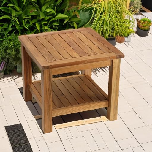Bare Decor Turi Side Table with Shelf - Solid Teak Wood Square End Table 20