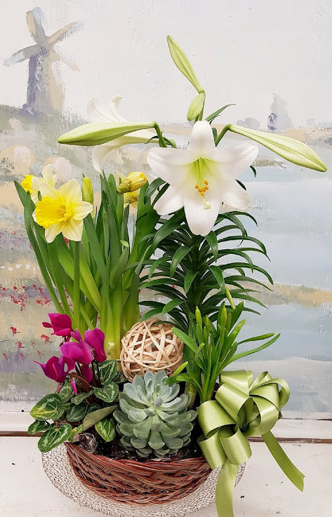 Easter Lily Dish Garden - Fresh Spring Floral Arrangement for Home Decor, Office, and Easter Gifts | Indoor Plant Centerpiece for Tables, Parties & Holiday Celebrations